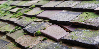 Bradfield roof repair costs